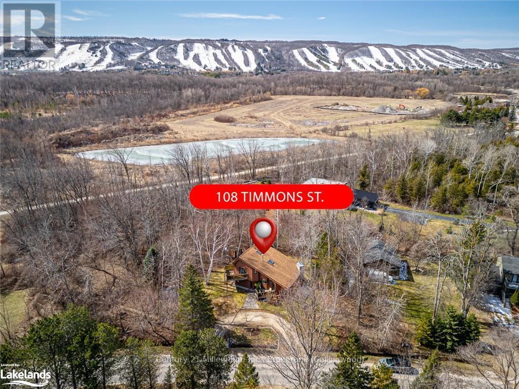 108 Timmons Street, Blue Mountains (Blue Mountain Resort Area), Ontario  L9Y 0L9 - Photo 3 - X10438384