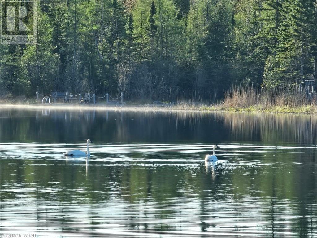 133596 Wilcox Lake Road, Grey Highlands, Ontario  N0C 1E0 - Photo 47 - 40585835