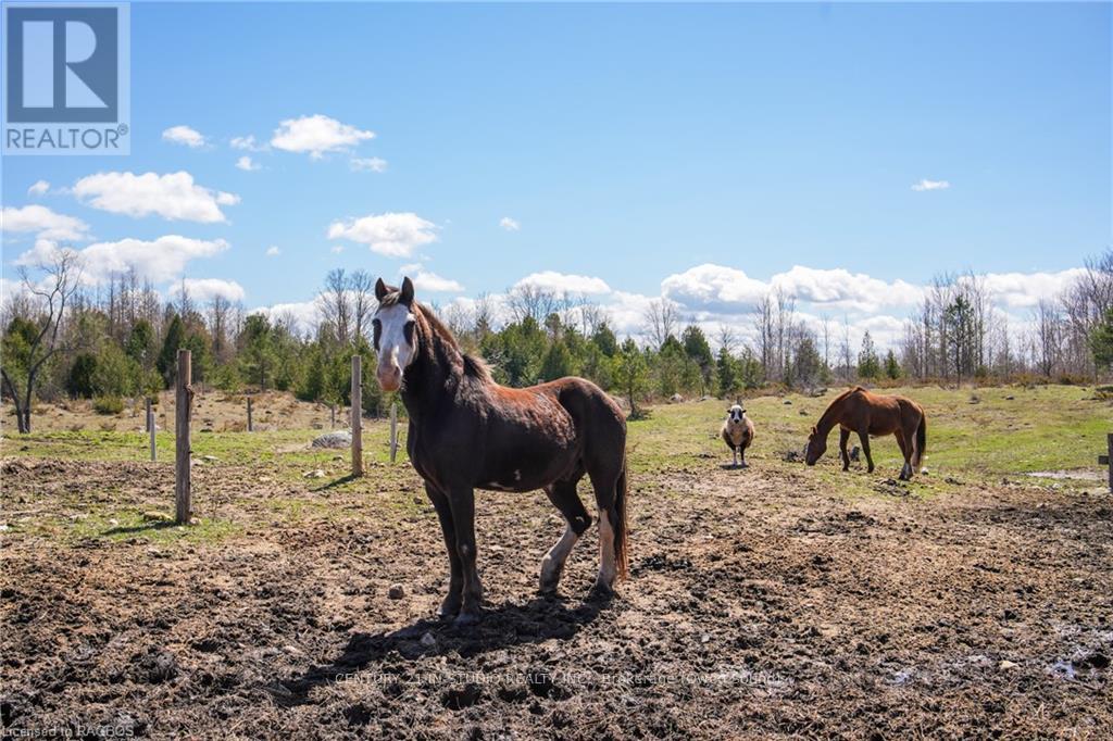 315421 Highway 6, Chatsworth, Ontario  N0H 2V0 - Photo 15 - X10845911