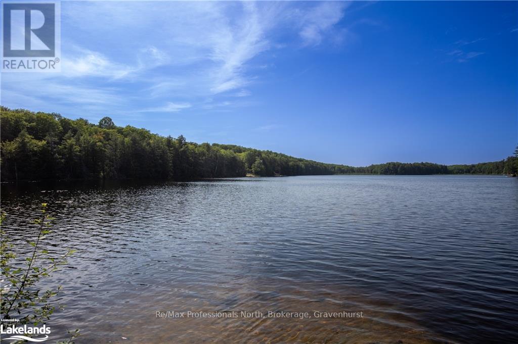 1 - 1044 Young's Road, Muskoka Lakes (Medora), Ontario  P0B 1J0 - Photo 11 - X10439061