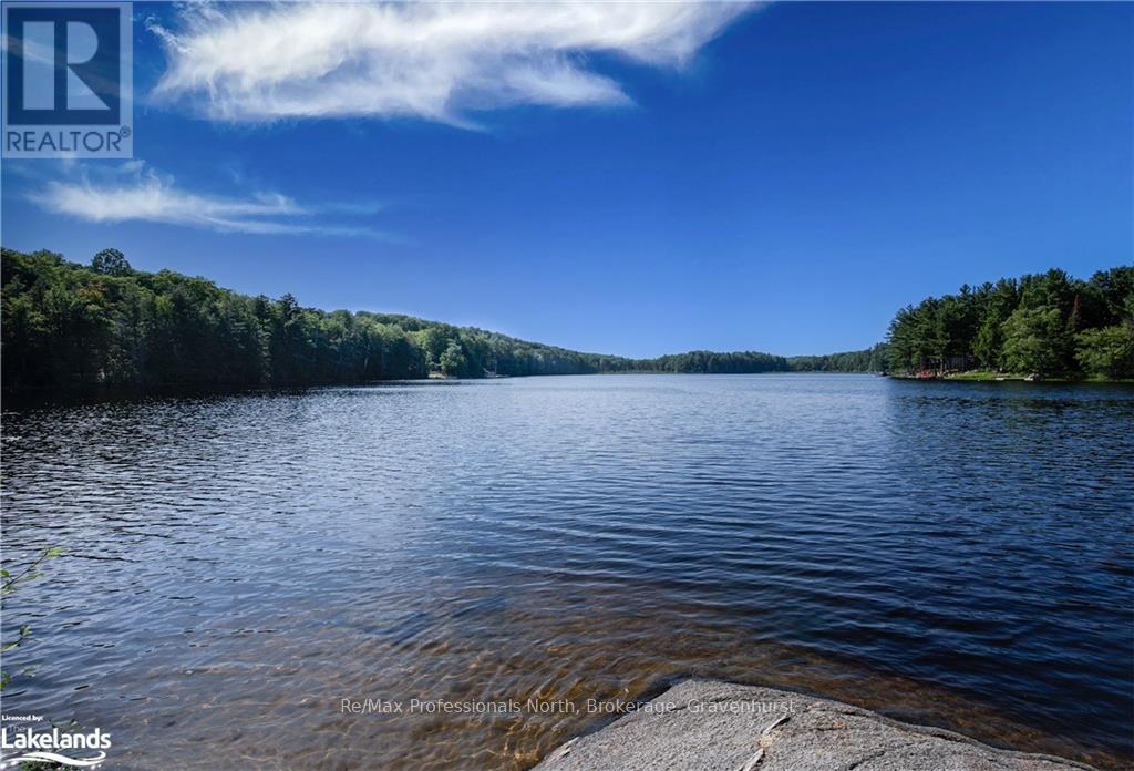 1 - 1044 Young's Road, Muskoka Lakes (Medora), Ontario  P0B 1J0 - Photo 12 - X10439061