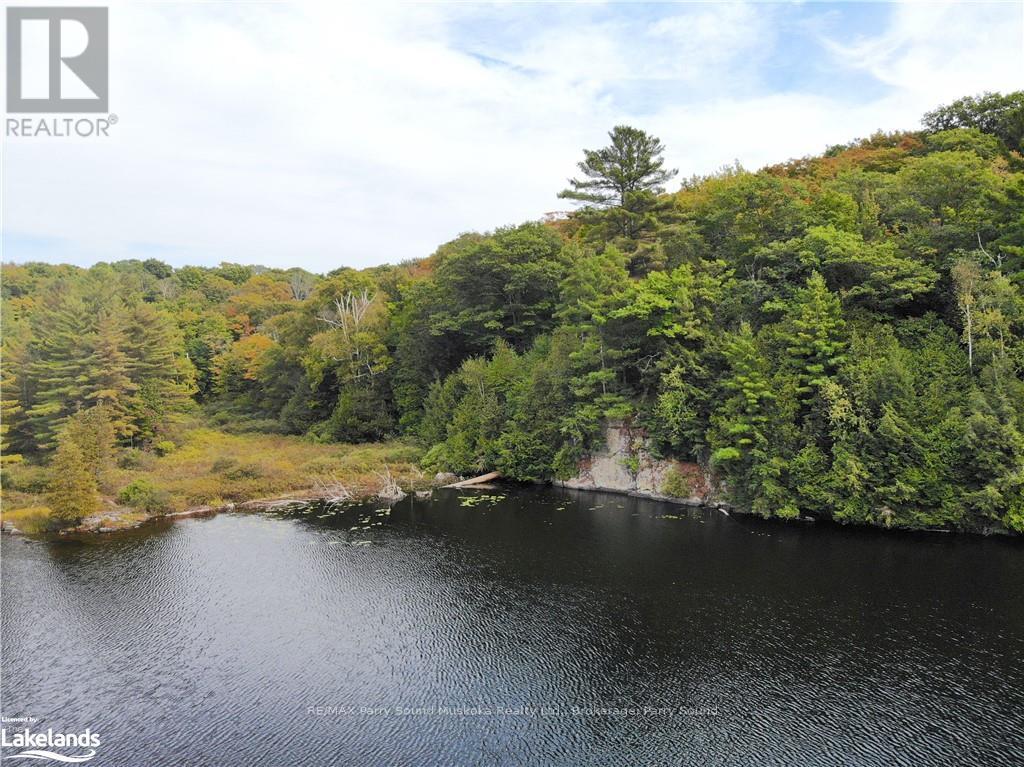 773 Mccoy Lake, Seguin, Ontario  P2A 0B2 - Photo 17 - X10437897