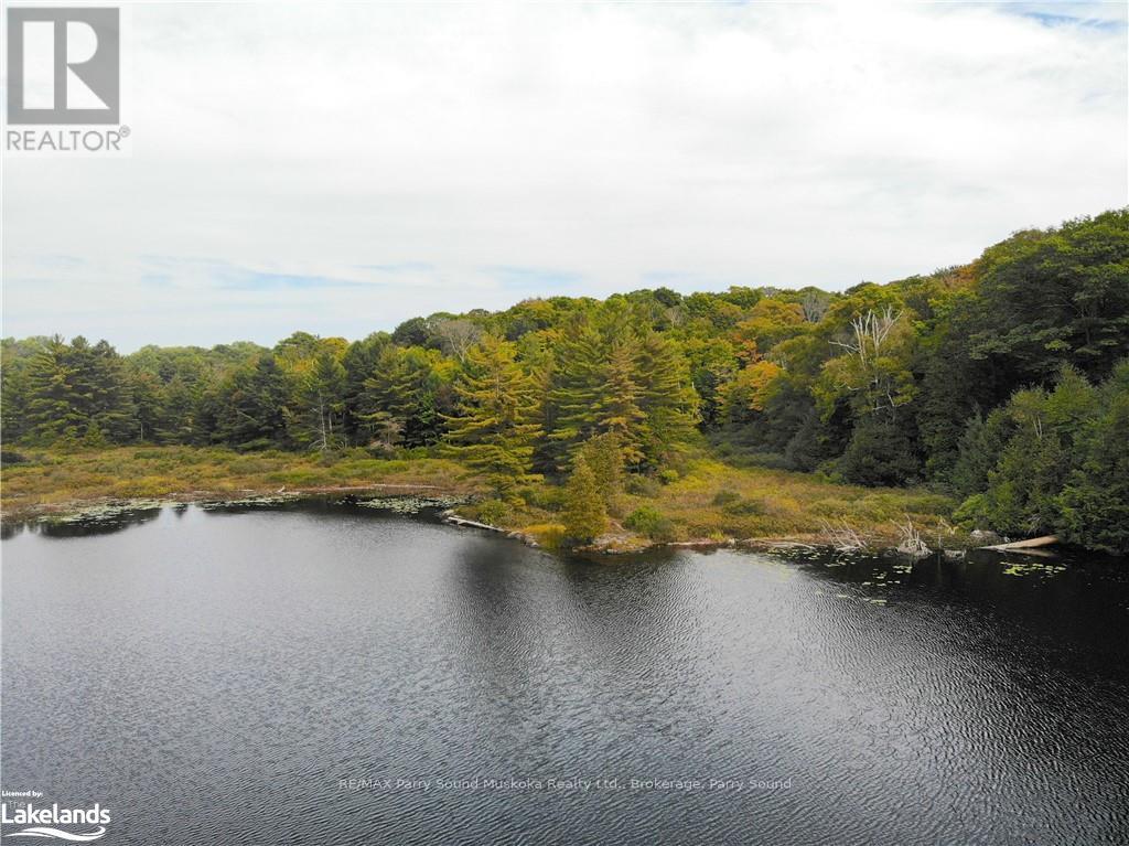 773 Mccoy Lake, Seguin, Ontario  P2A 0B2 - Photo 19 - X10437897