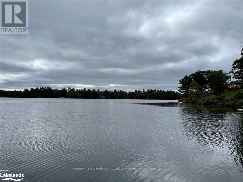 Moor16 - 1336 South Morrison Lake Road, Gravenhurst (Wood (Gravenhurst)), Ontario  P0E 1G0 - Photo 33 - X10437596