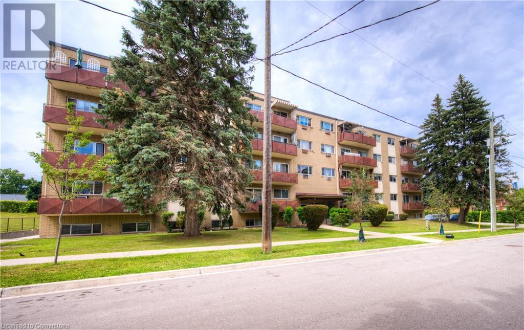 36 Talbot Street, Kitchener, Ontario  N2M 2A9 - Photo 4 - 40680074