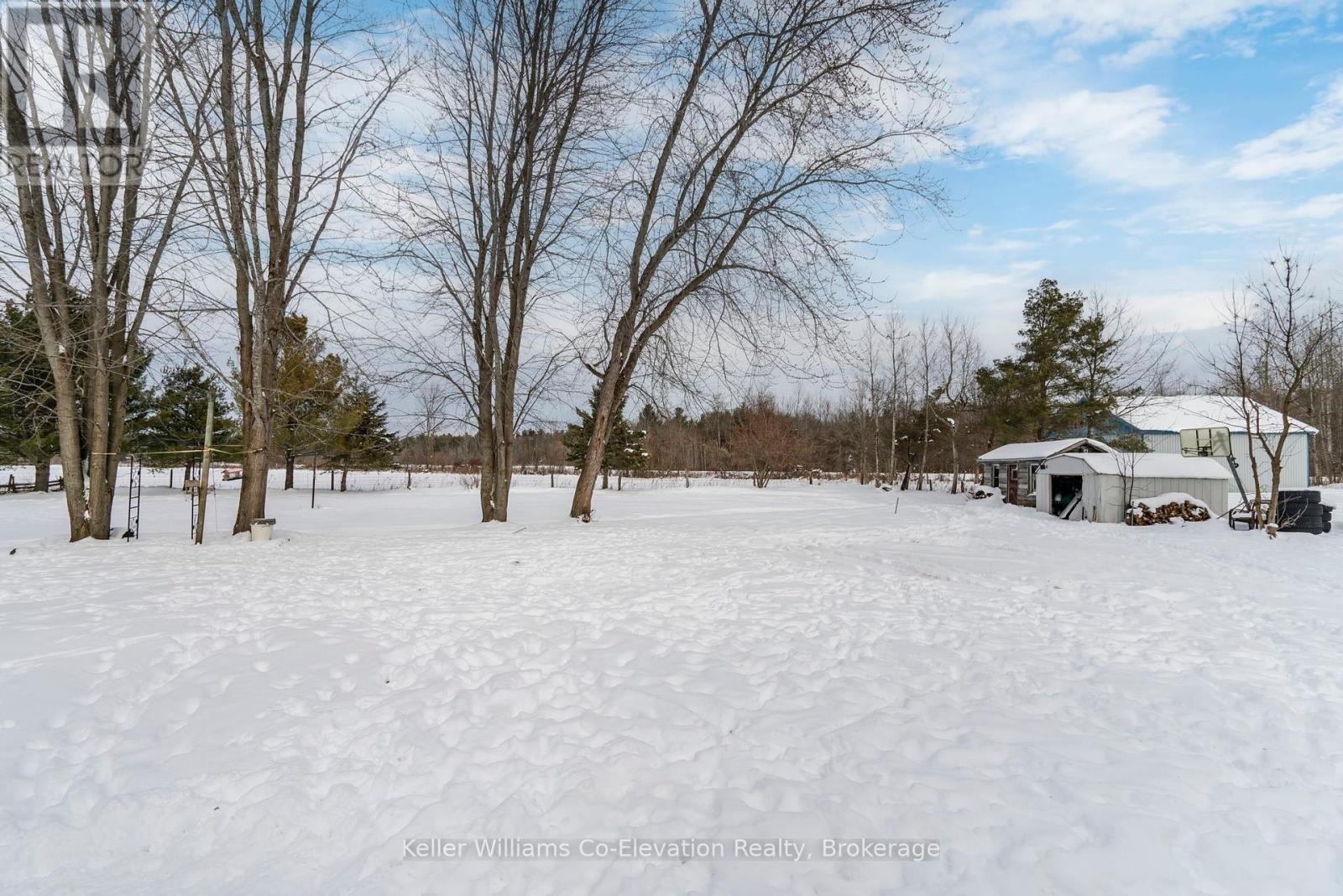 169 Switzer Street, Clearview, Ontario  L0M 1N0 - Photo 34 - S11928704