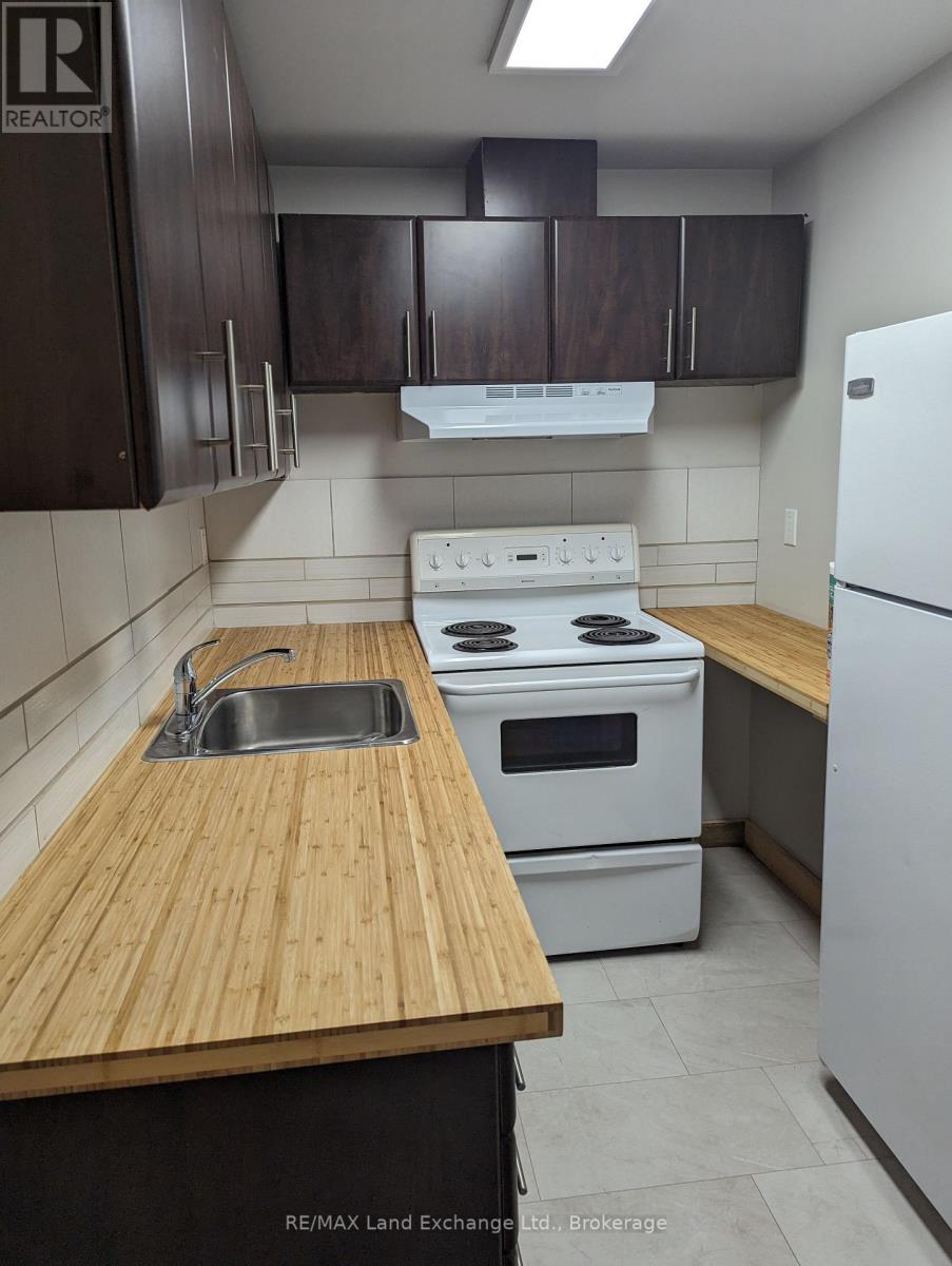 428 Queen Street S, Arran-Elderslie, Ontario  N0G 2N0 - Photo 26 - X12077630