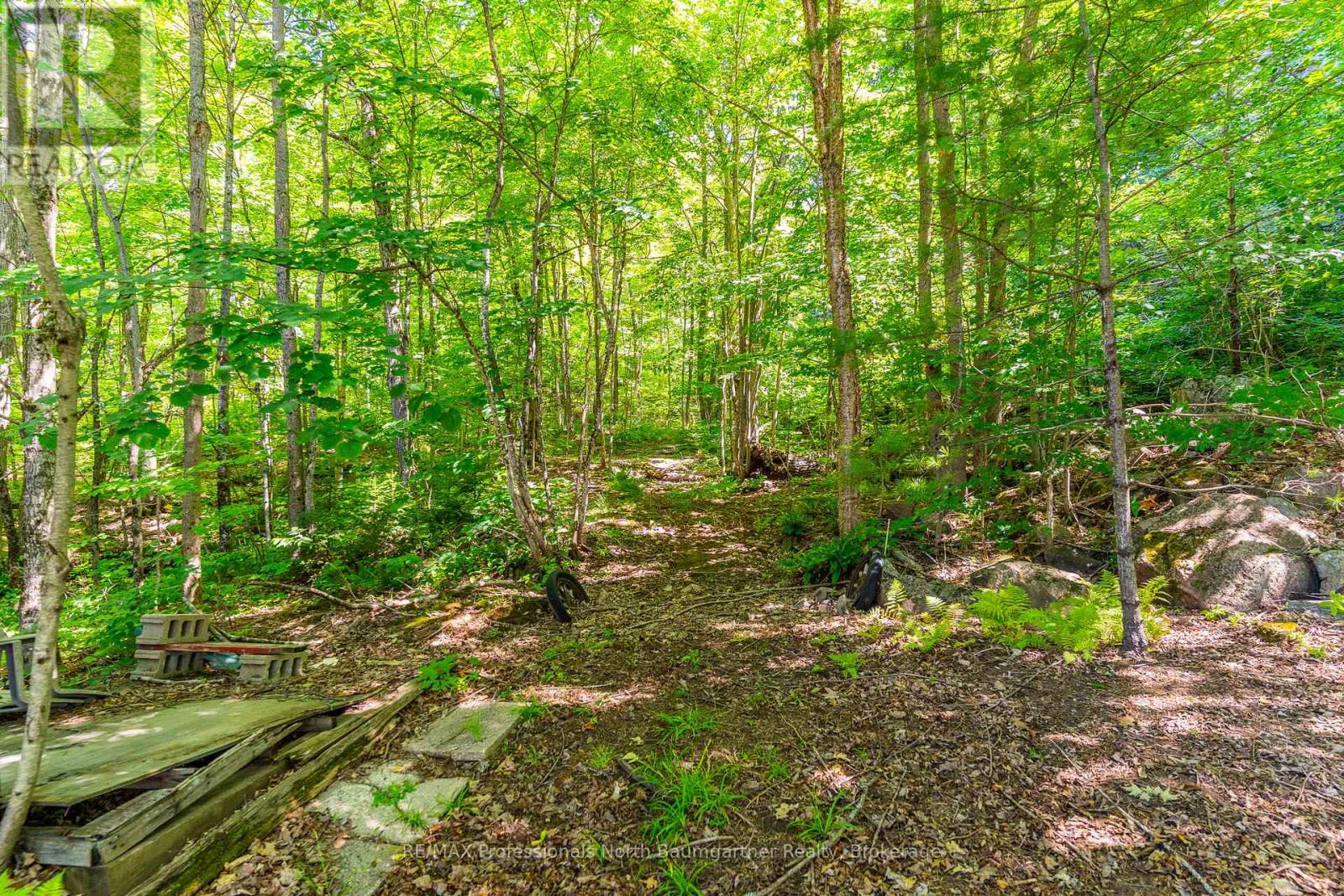 18830 Hwy 35, Algonquin Highlands, Ontario  K0M 1J2 - Photo 37 - X12604142