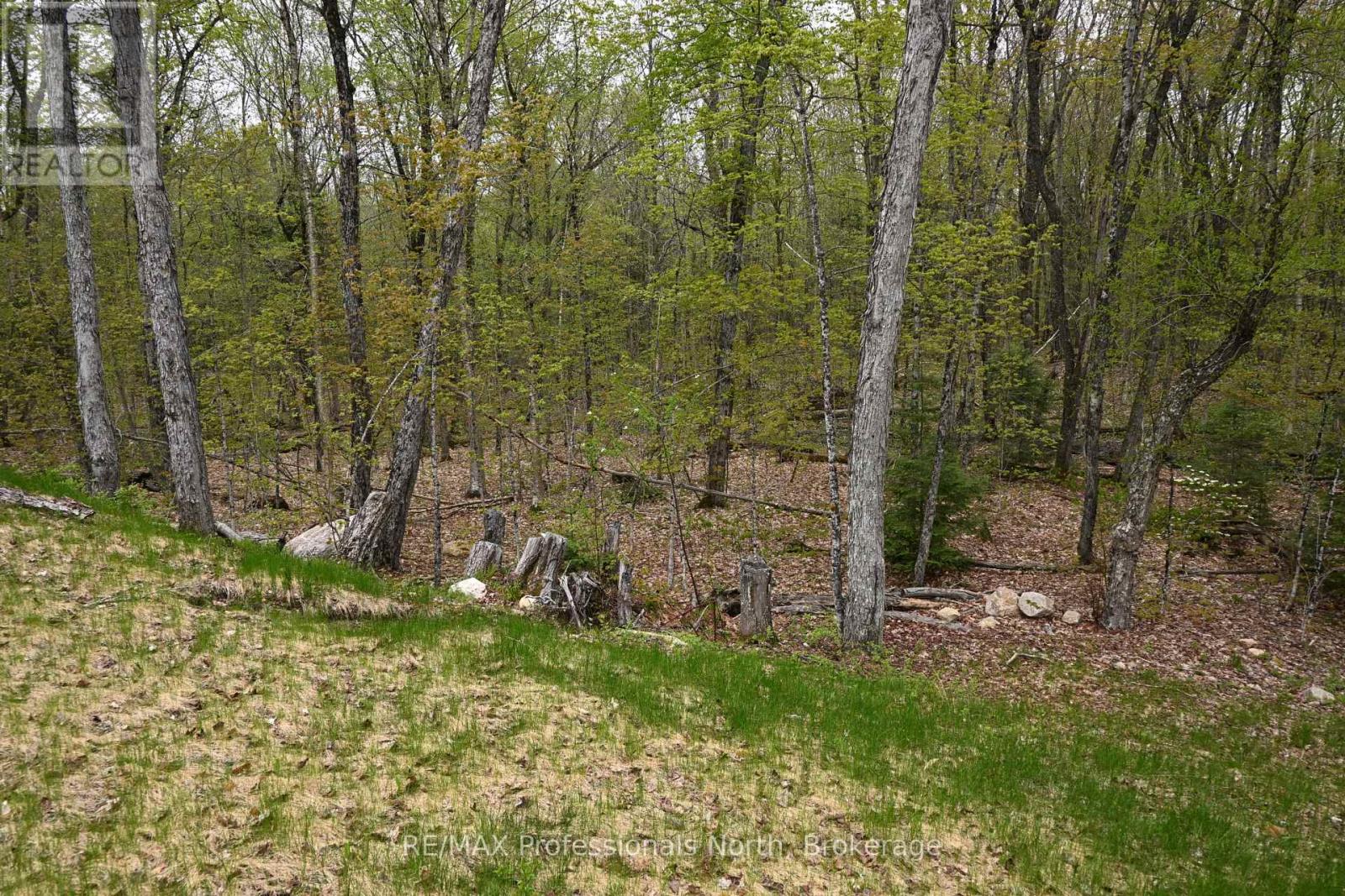 121 Loon Lake Road, Magnetawan, Ontario  P0A 1Z0 - Photo 3 - X12643326