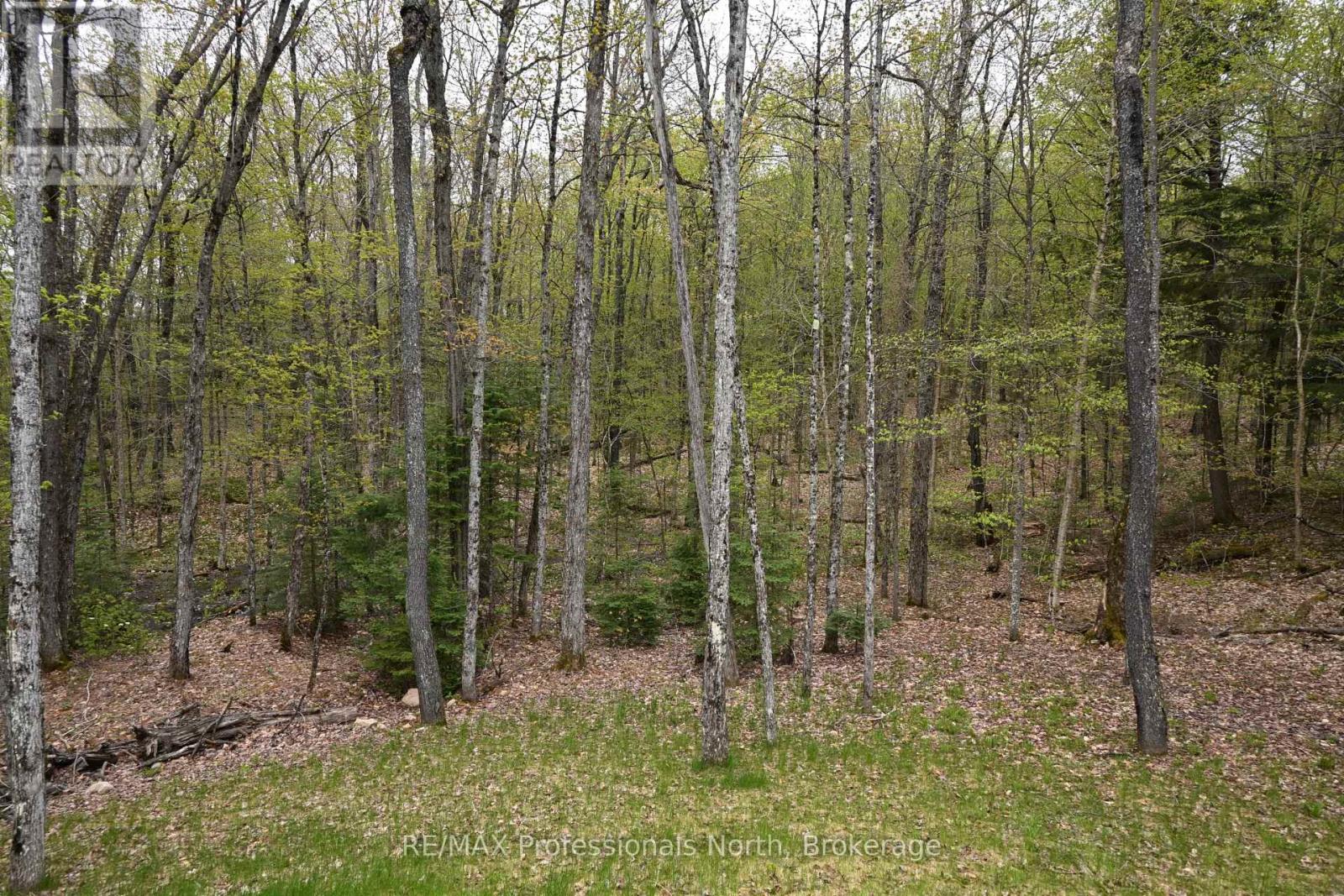 121 Loon Lake Road, Magnetawan, Ontario  P0A 1Z0 - Photo 6 - X12643326