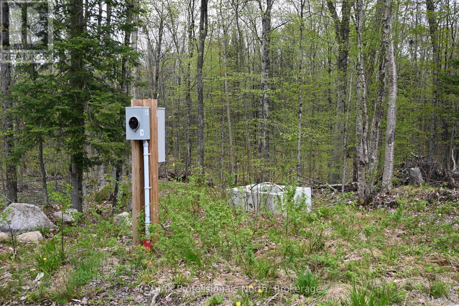121 Loon Lake Road, Magnetawan, Ontario  P0A 1Z0 - Photo 7 - X12643326