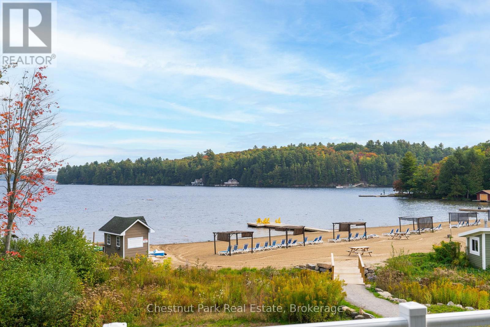 E206b1 - 1869 Muskoka 118 Road W, Muskoka Lakes, Ontario  P1L 1W8 - Photo 26 - X12688014