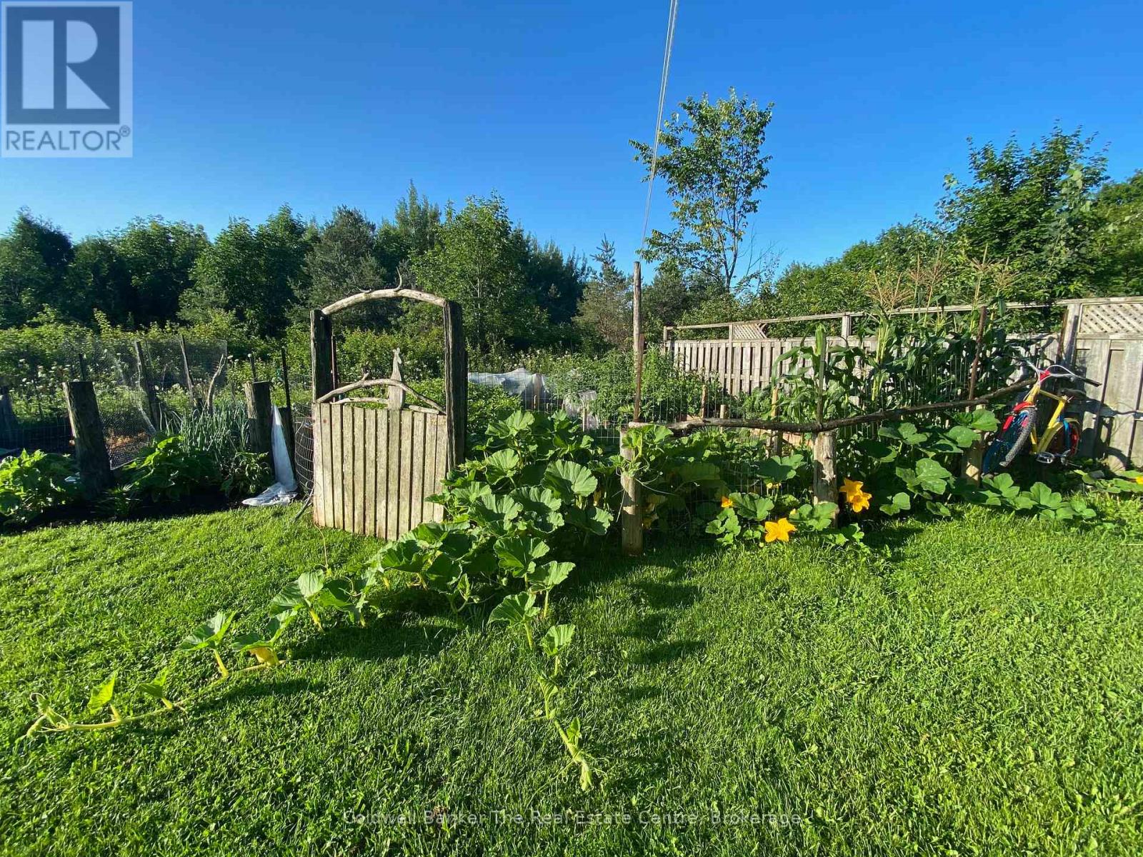 1229 County Road 124, Clearview, Ontario  N0C 1M0 - Photo 41 - S12712114