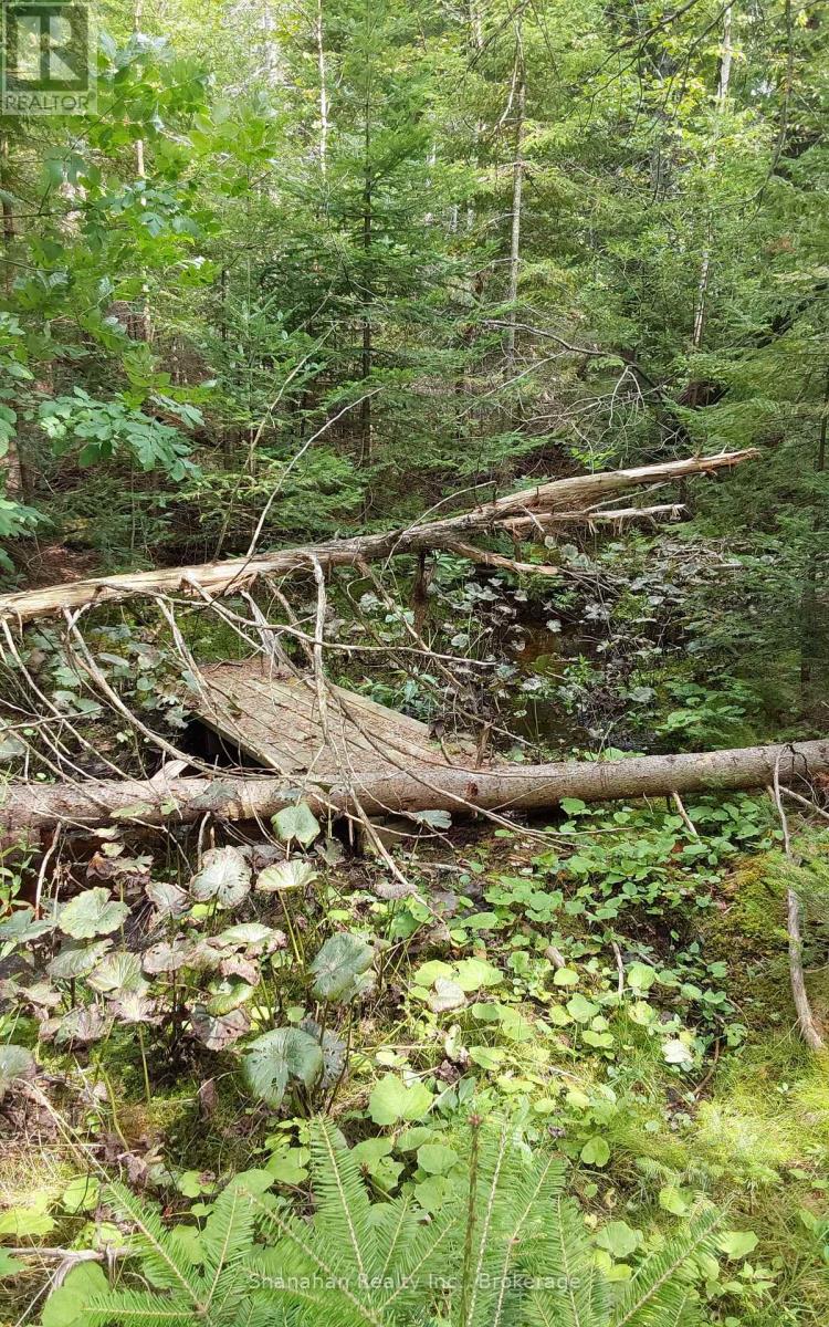 579 Cape Hurd Road, Northern Bruce Peninsula, Ontario  N0H 2R0 - Photo 34 - X12785952
