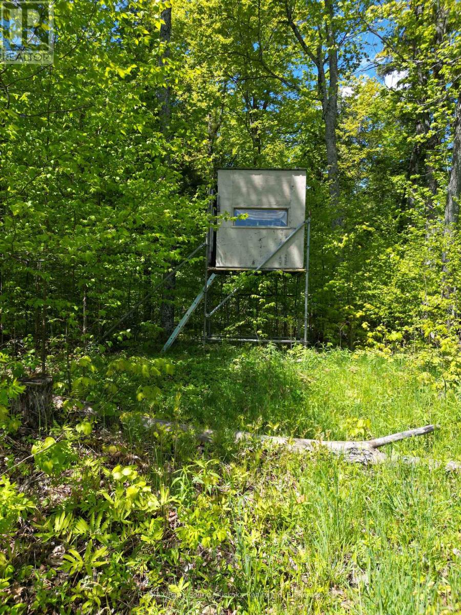 791 Clear Lake Road, Parry Sound Remote Area, Ontario  P0H 1A0 - Photo 12 - X12808548