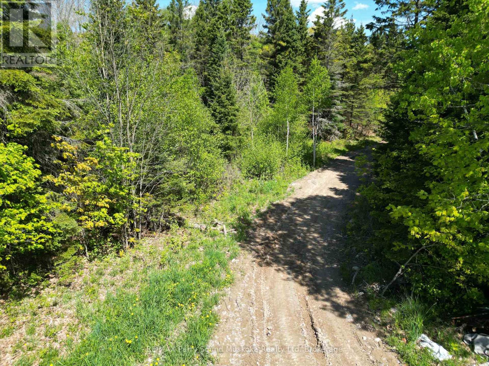 791 Clear Lake Road, Parry Sound Remote Area, Ontario  P0H 1A0 - Photo 6 - X12808548