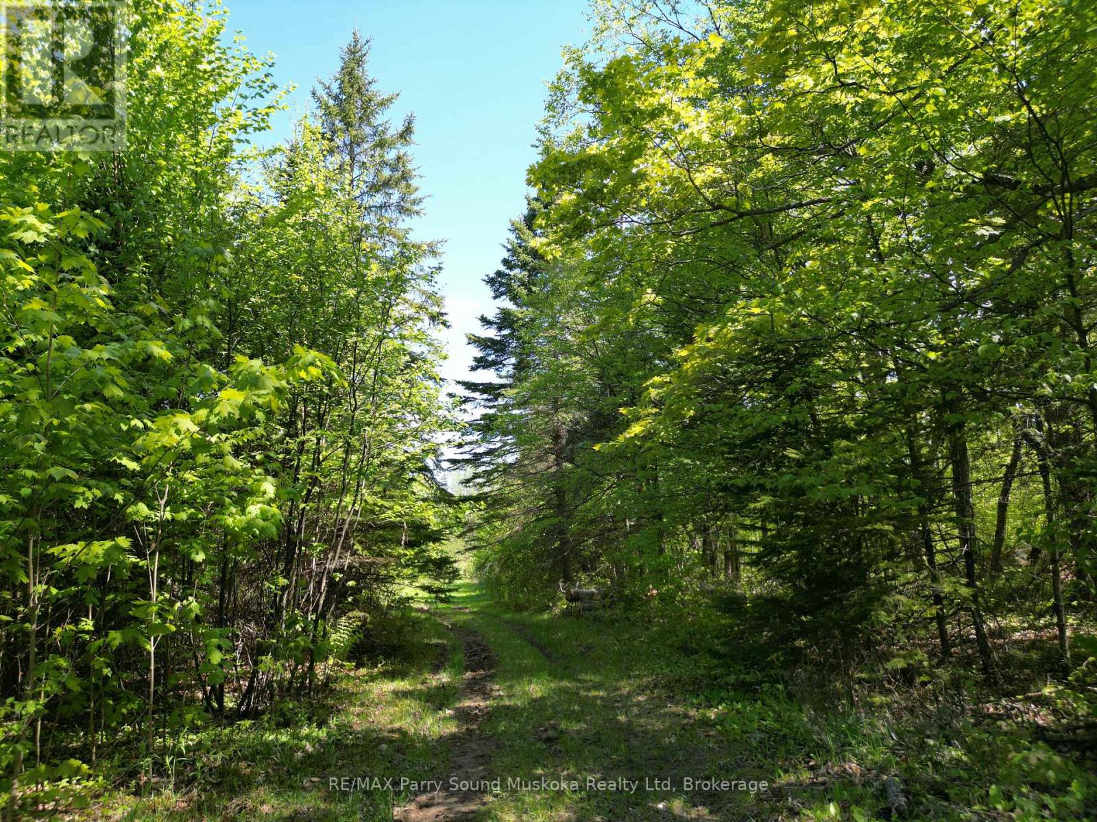 791 Clear Lake Road, Parry Sound Remote Area, Ontario  P0H 1A0 - Photo 8 - X12808548