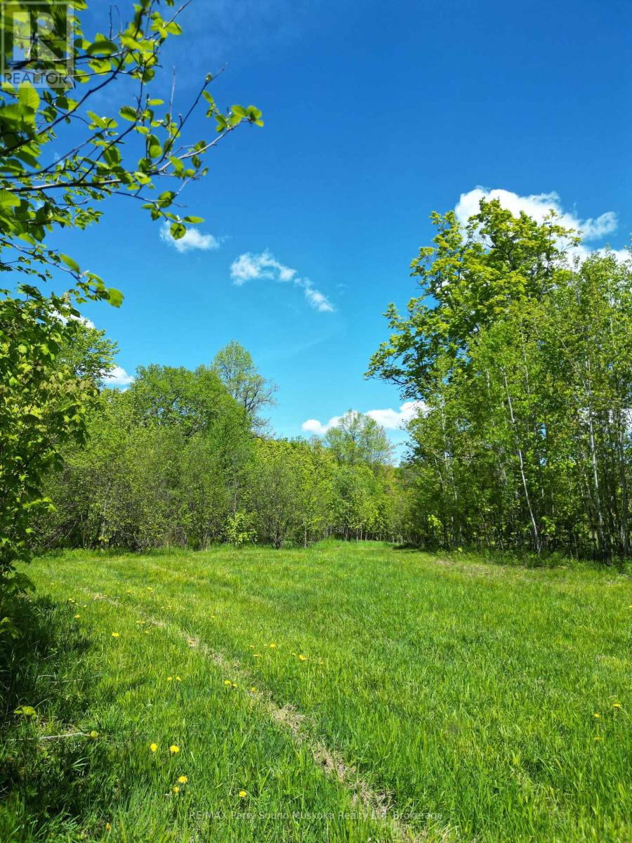791 Clear Lake Road, Parry Sound Remote Area, Ontario  P0H 1A0 - Photo 9 - X12808548