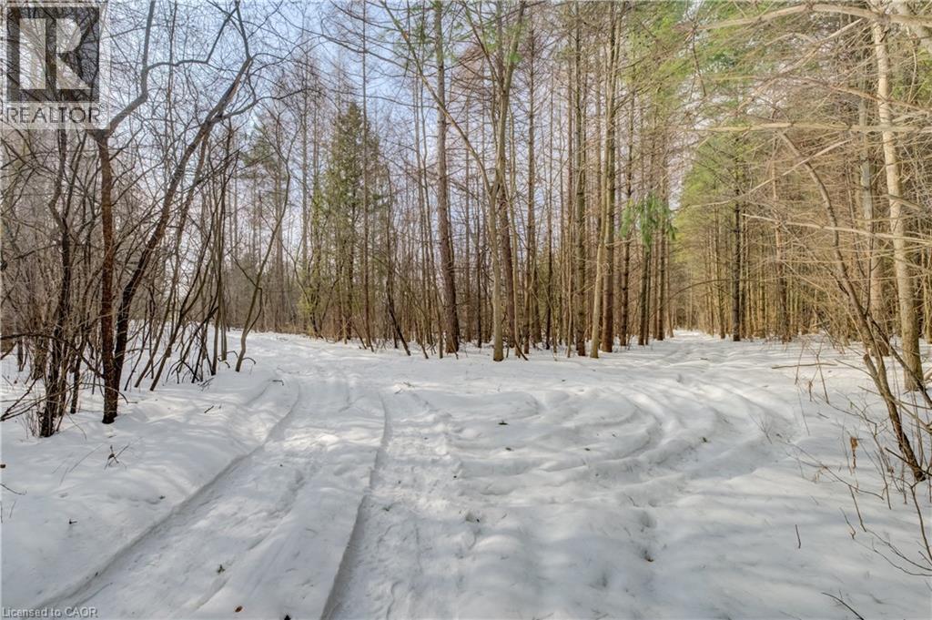 3907 Wellington 35 Road, Puslinch, Ontario  N0B 2J0 - Photo 22 - 40806341