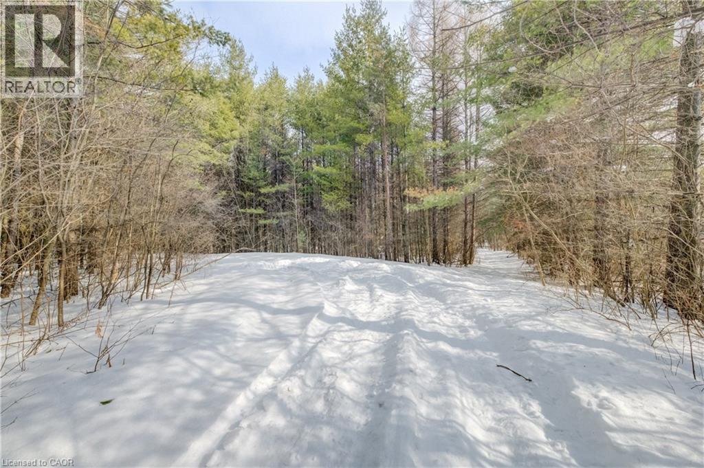 3907 Wellington 35 Road, Puslinch, Ontario  N0B 2J0 - Photo 23 - 40806341