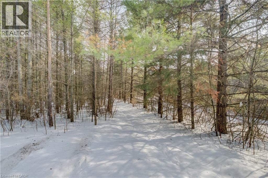 3907 Wellington 35 Road, Puslinch, Ontario  N0B 2J0 - Photo 25 - 40806341
