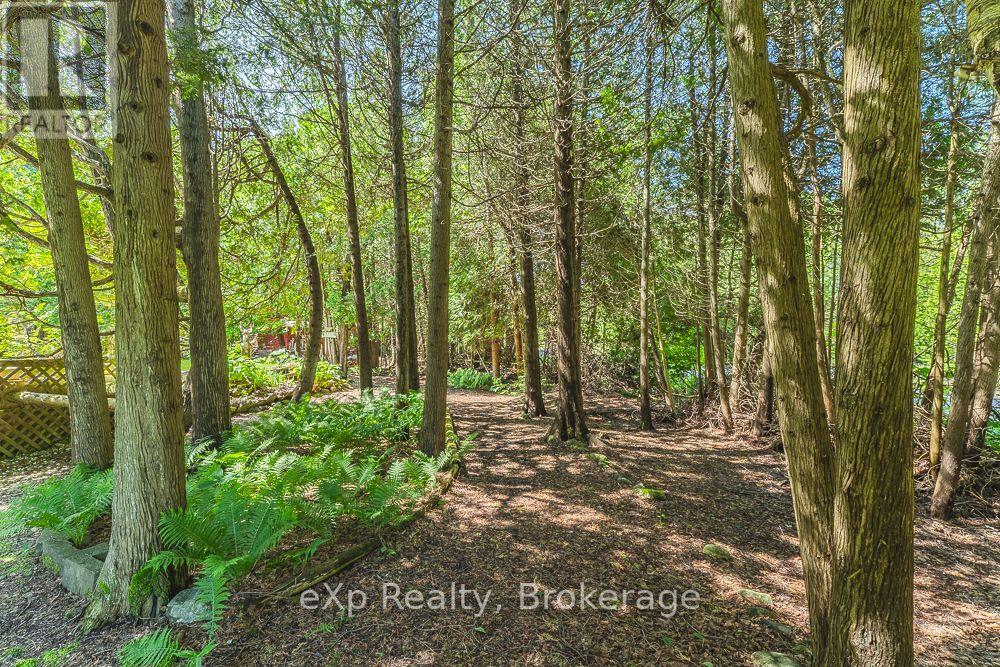 245 Whiskey Harbour Road, Northern Bruce Peninsula, Ontario  N0H 2T0 - Photo 40 - X12837084