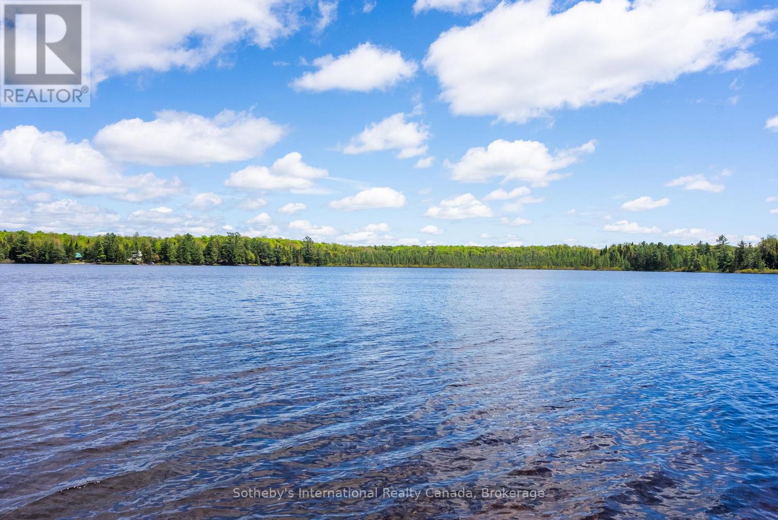 3491a Axe Lake Road, Mcmurrich/monteith, Ontario  P0A 1Y0 - Photo 48 - X12853180