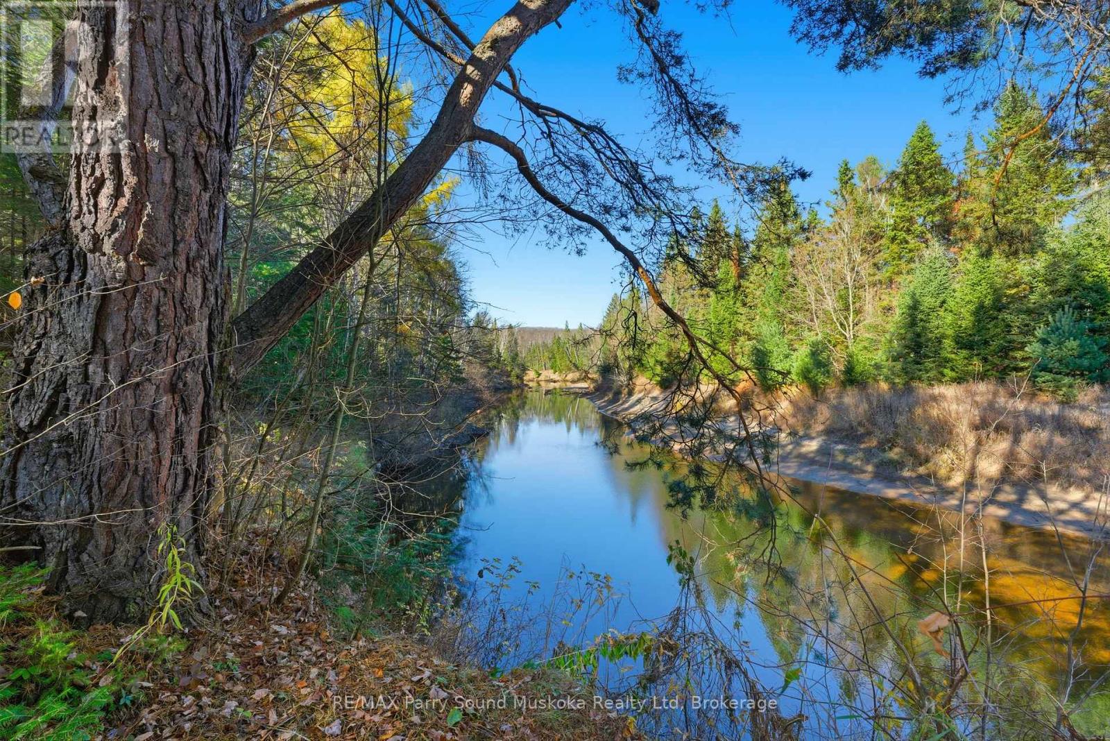39 Groeger Road, Huntsville, Ontario  P1H 2J4 - Photo 40 - X12854940