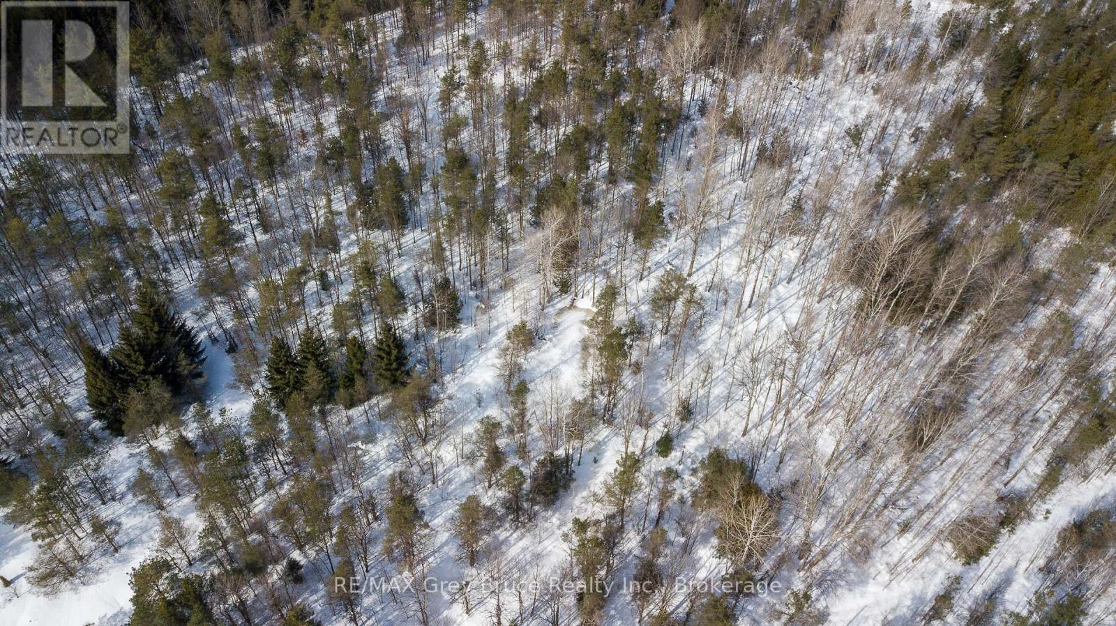 260 Spring Creek Road, South Bruce Peninsula, Ontario  N0H 1P0 - Photo 39 - X12864868