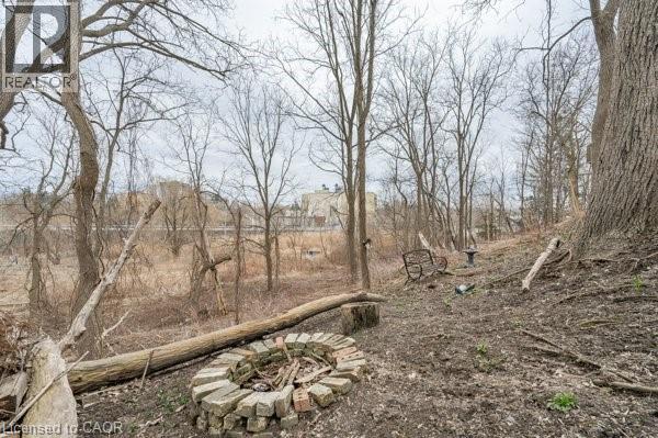 163 Fountain Street N, Cambridge, Ontario  N3H 1H7 - Photo 4 - 40810699