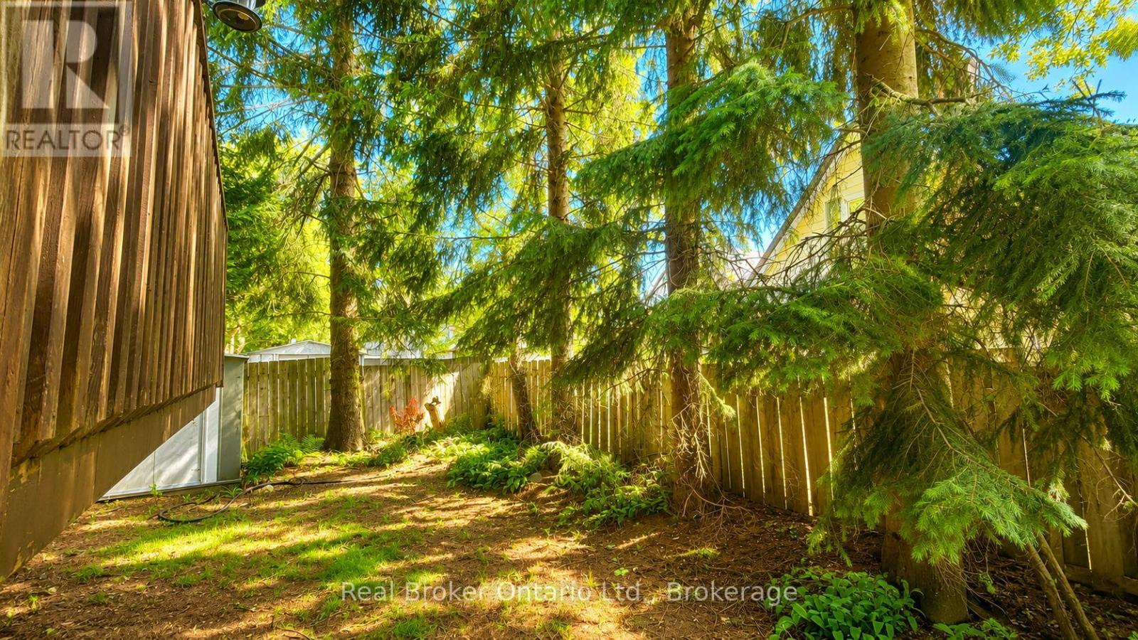 50 South Drive, Kitchener, Ontario  N2M 4B5 - Photo 29 - X12874508