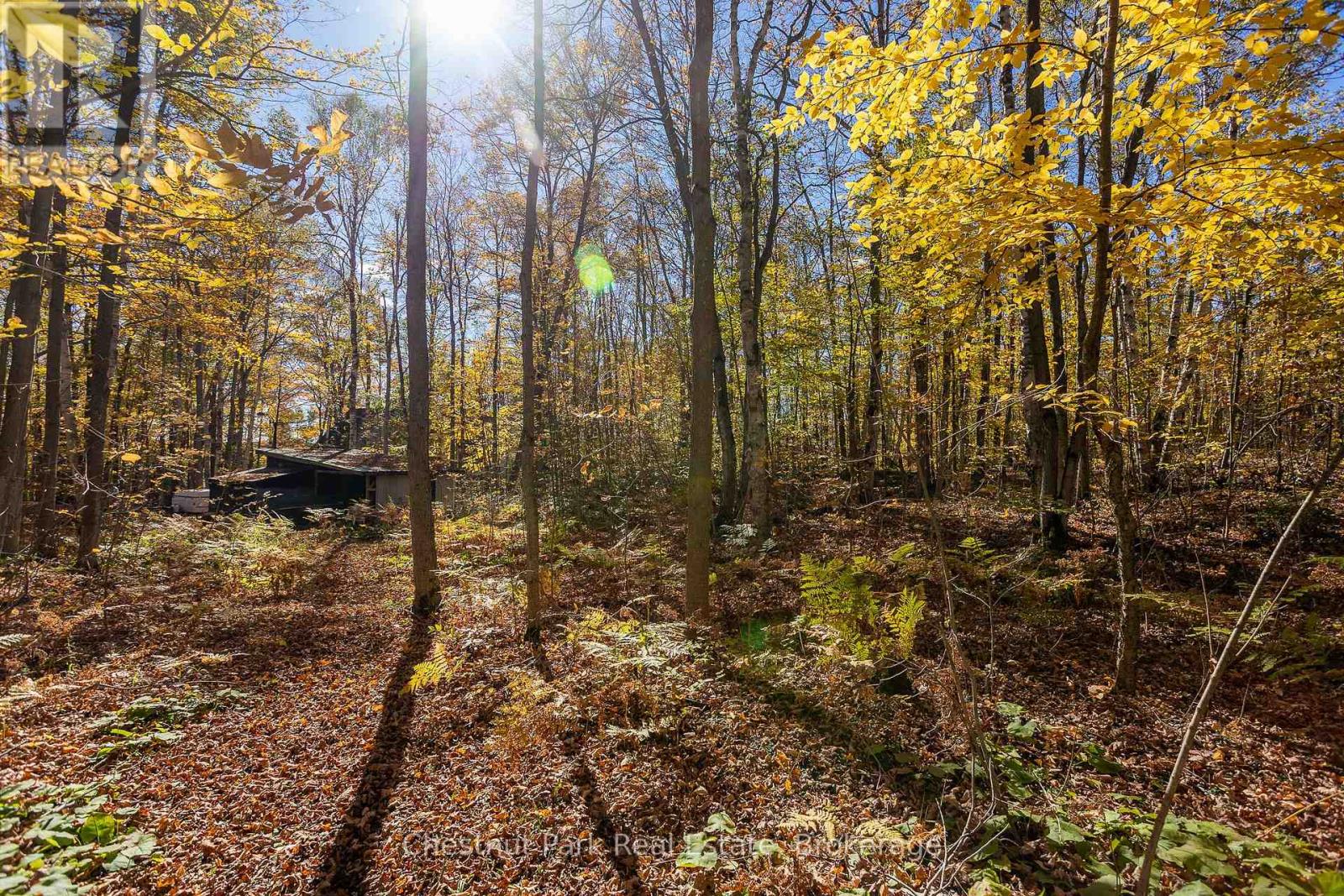 305 Barney's Boulevard, Northern Bruce Peninsula, Ontario  N0H 1Z0 - Photo 40 - X12879580