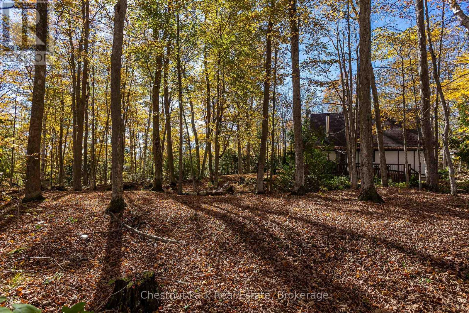 305 Barney's Boulevard, Northern Bruce Peninsula, Ontario  N0H 1Z0 - Photo 42 - X12879580