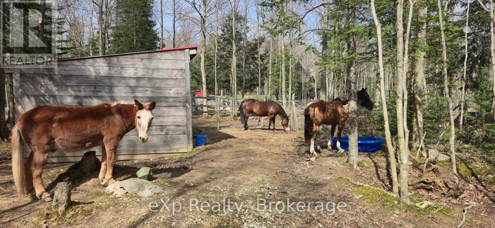 217 Forty Hills Road, Northern Bruce Peninsula, Ontario  N0H 1W0 - Photo 36 - X12882214