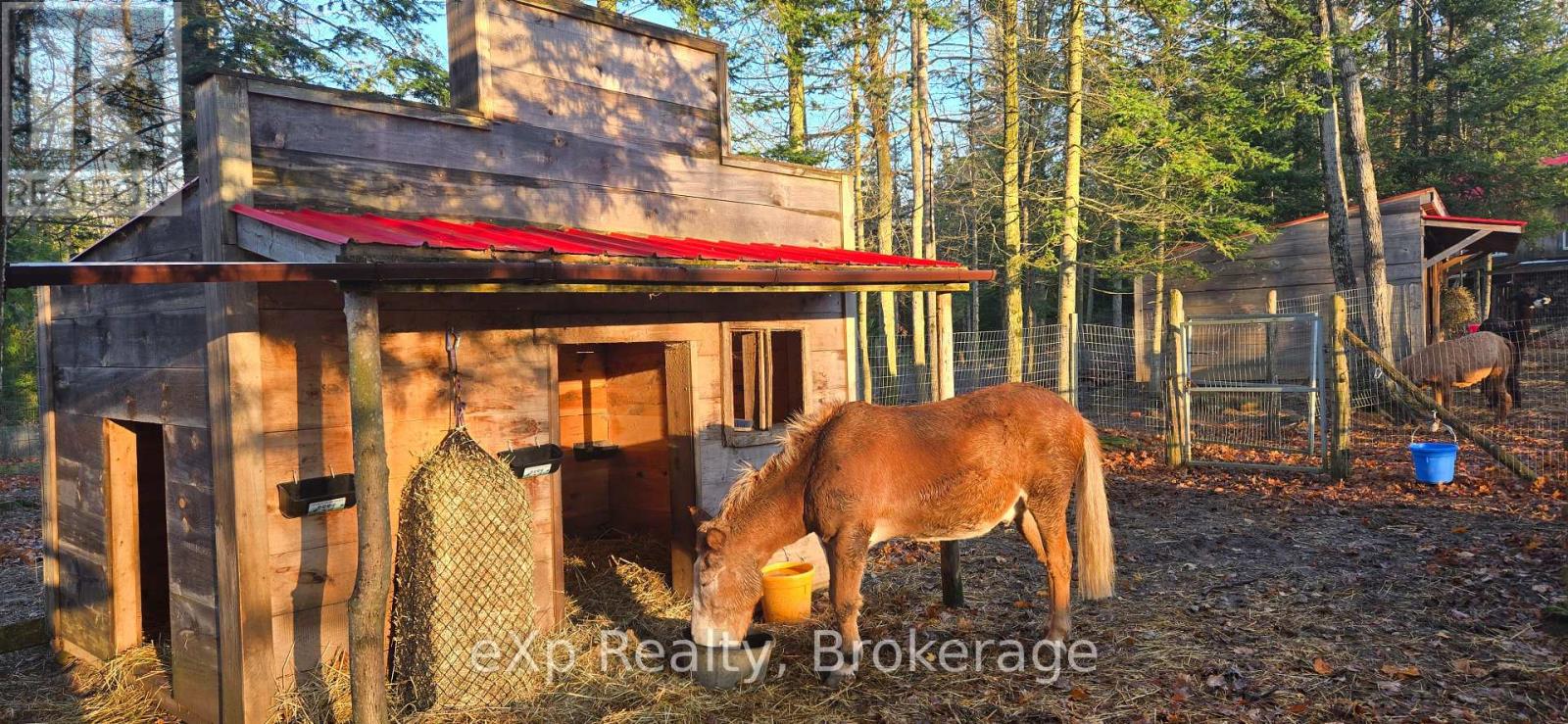 217 Forty Hills Road, Northern Bruce Peninsula, Ontario  N0H 1W0 - Photo 37 - X12882214