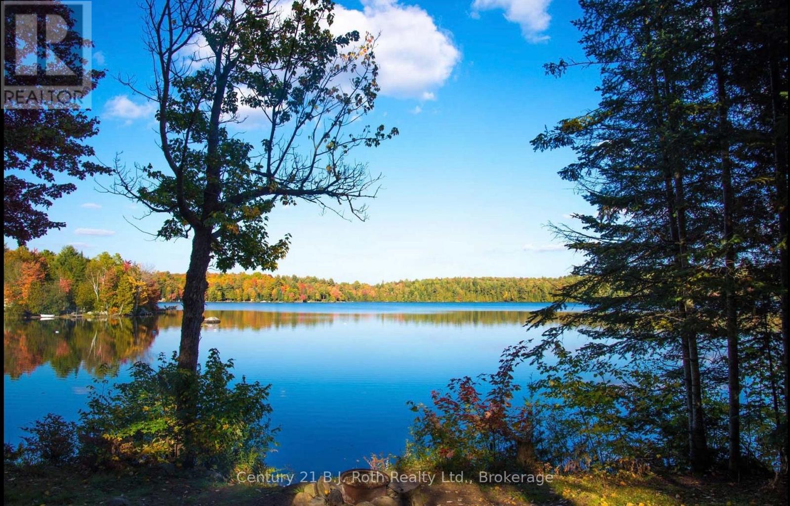 439 Springwater Crescent, Bracebridge, Ontario  P1L 1W9 - Photo 3 - X12884884