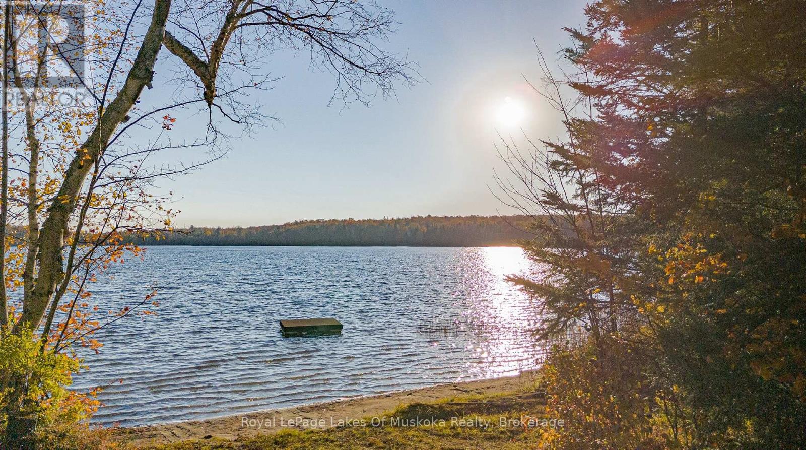 128 Cheer Lake Road, Strong, Ontario  P0A 1X0 - Photo 5 - X12886648