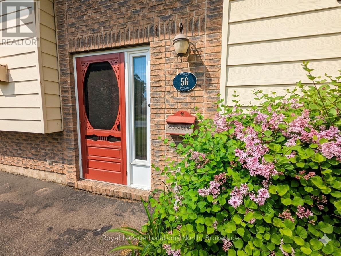 56 Lorne Avenue, Collingwood, Ontario  L9Y 2B7 - Photo 3 - S12890242