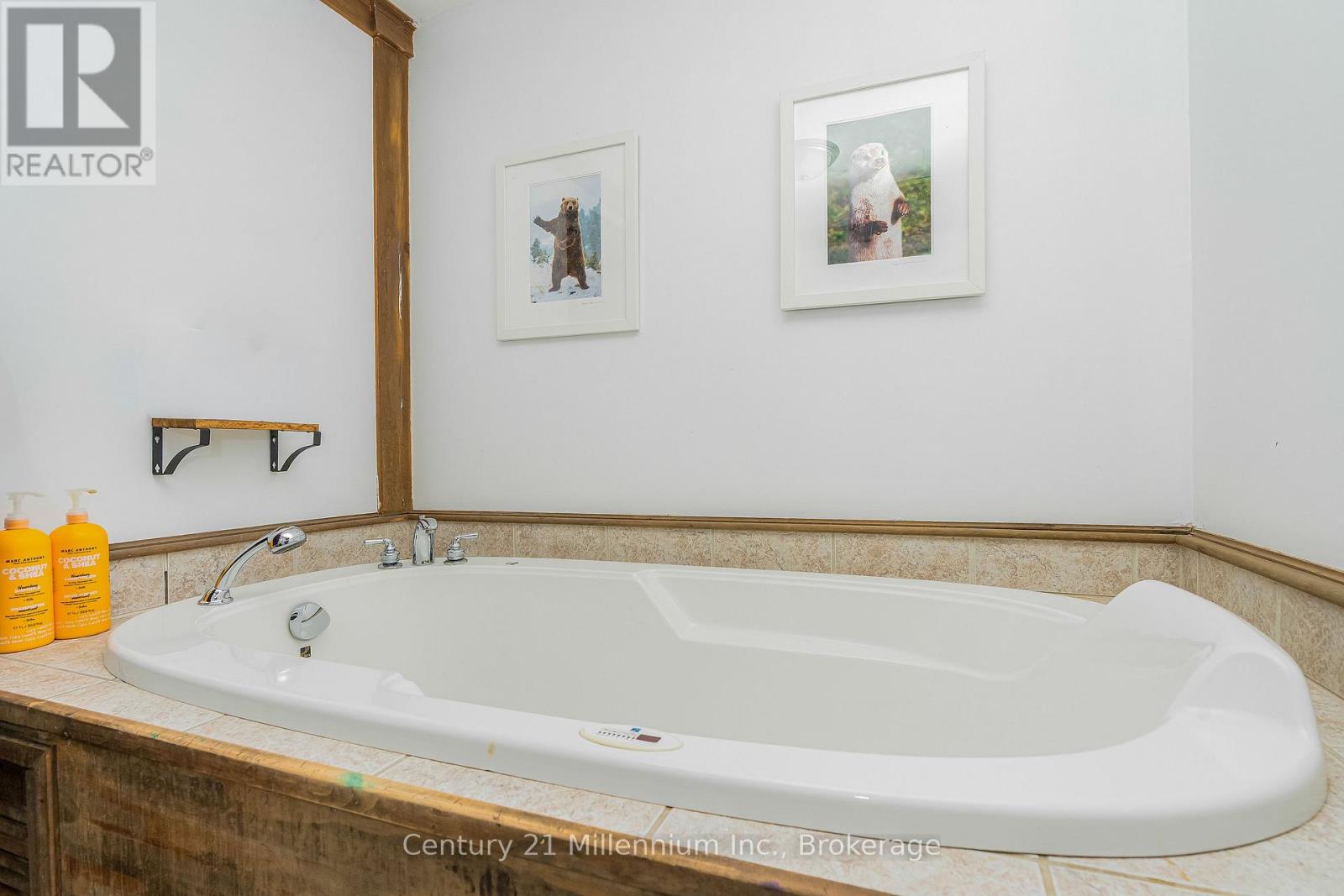 1547 County 42 Road, Clearview, Ontario  L0M 1S0 - Photo 36 - S12911660