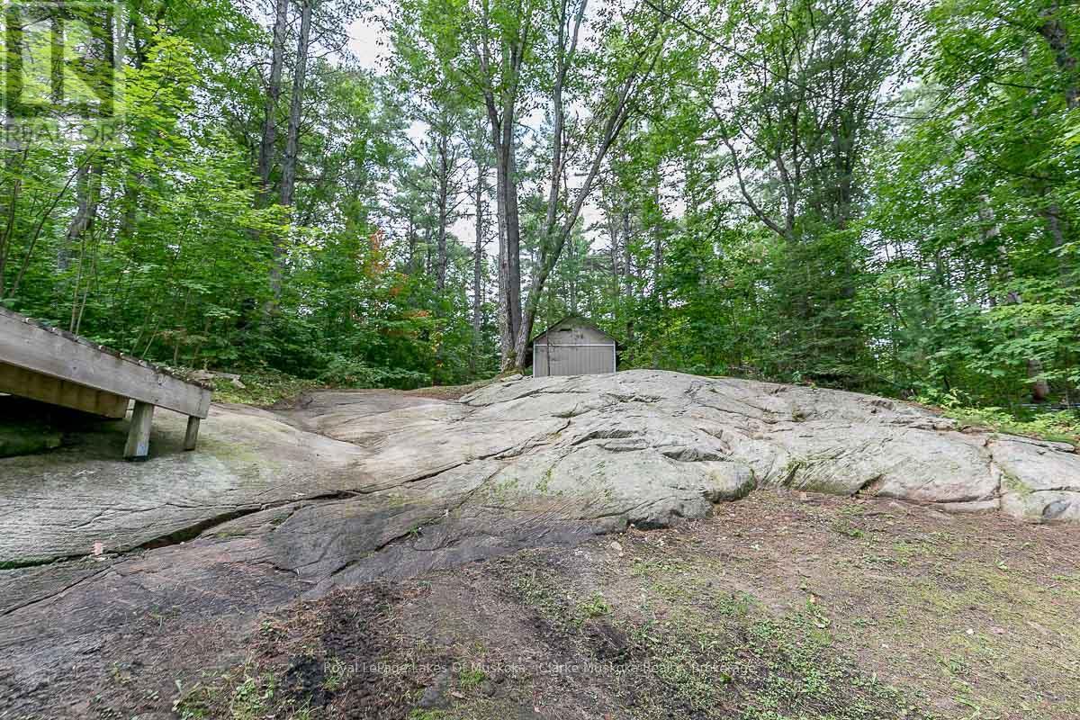 4 Severn River Shore, Muskoka Lakes, Ontario  P0C 1M0 - Photo 42 - X12914224