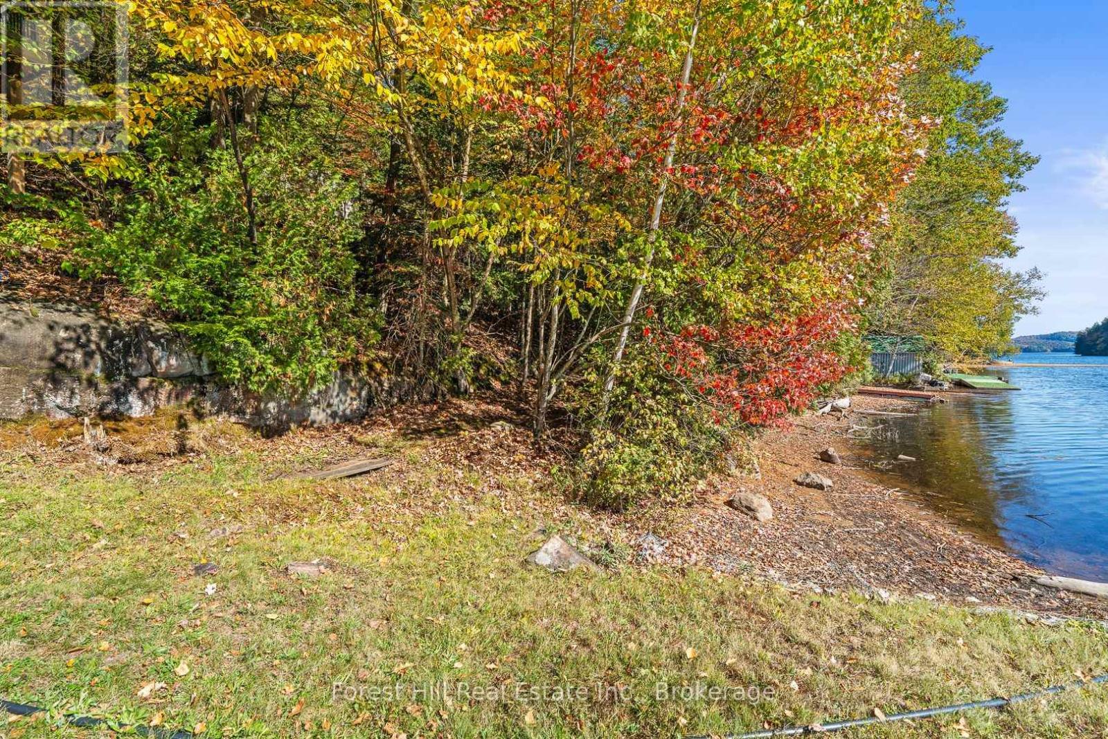 1187 Ivy Lane, Algonquin Highlands, Ontario  P0A 1E0 - Photo 26 - X12922028