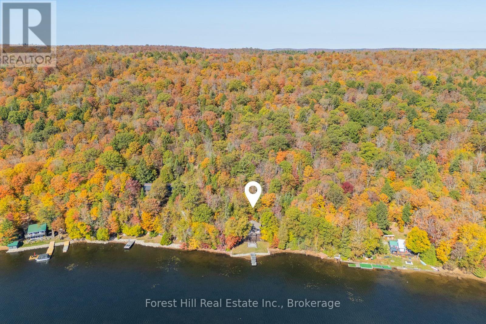 1187 Ivy Lane, Algonquin Highlands, Ontario  P0A 1E0 - Photo 3 - X12922028