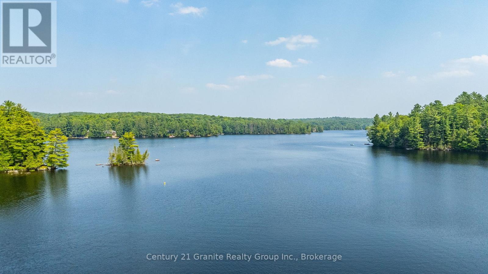 1085 Grace Road, Minden Hills, Ontario  K0M 2K0 - Photo 46 - X12934162