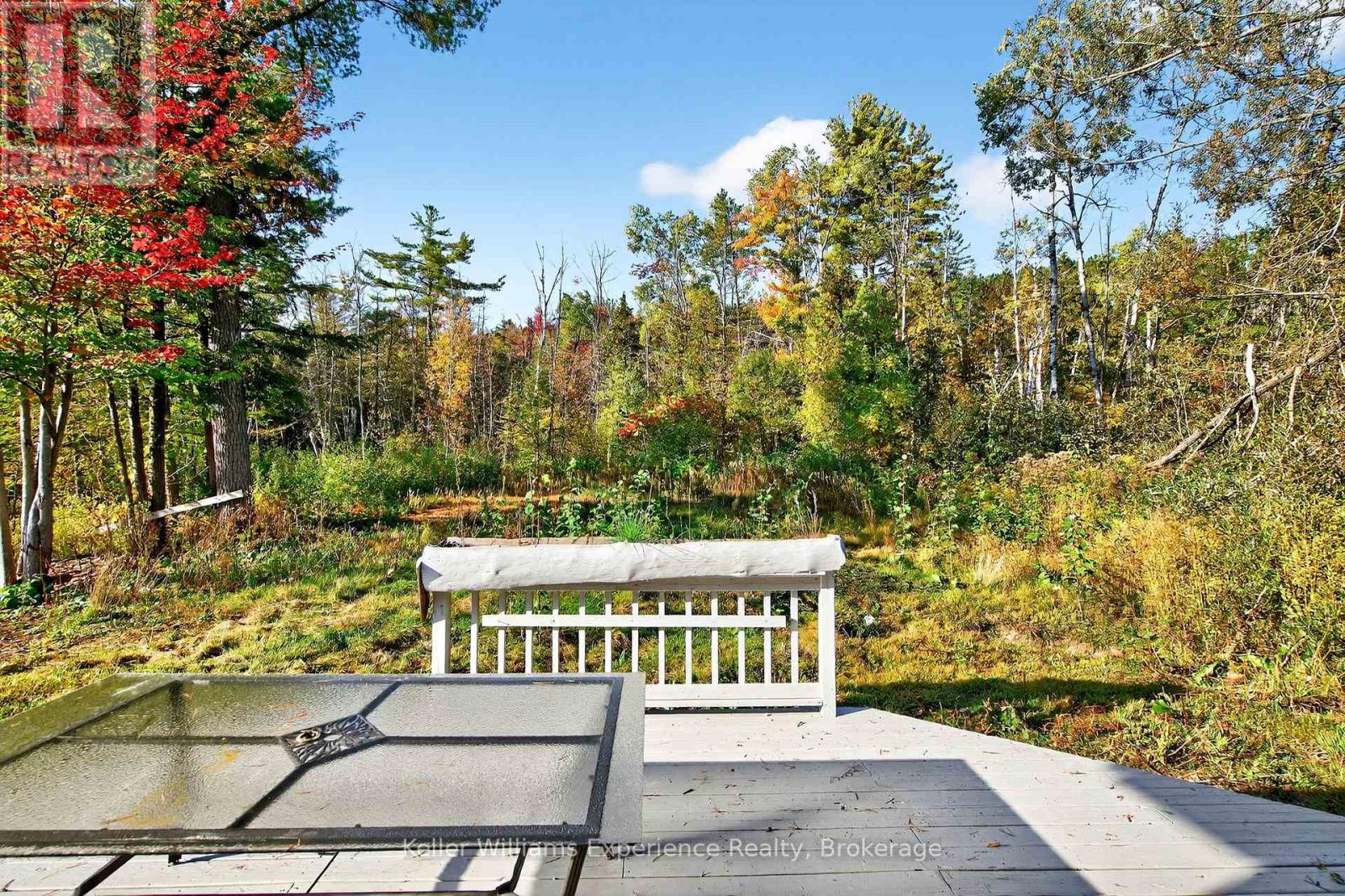556 Champlain Road, Tiny, Ontario  L9M 0C2 - Photo 30 - S12935968