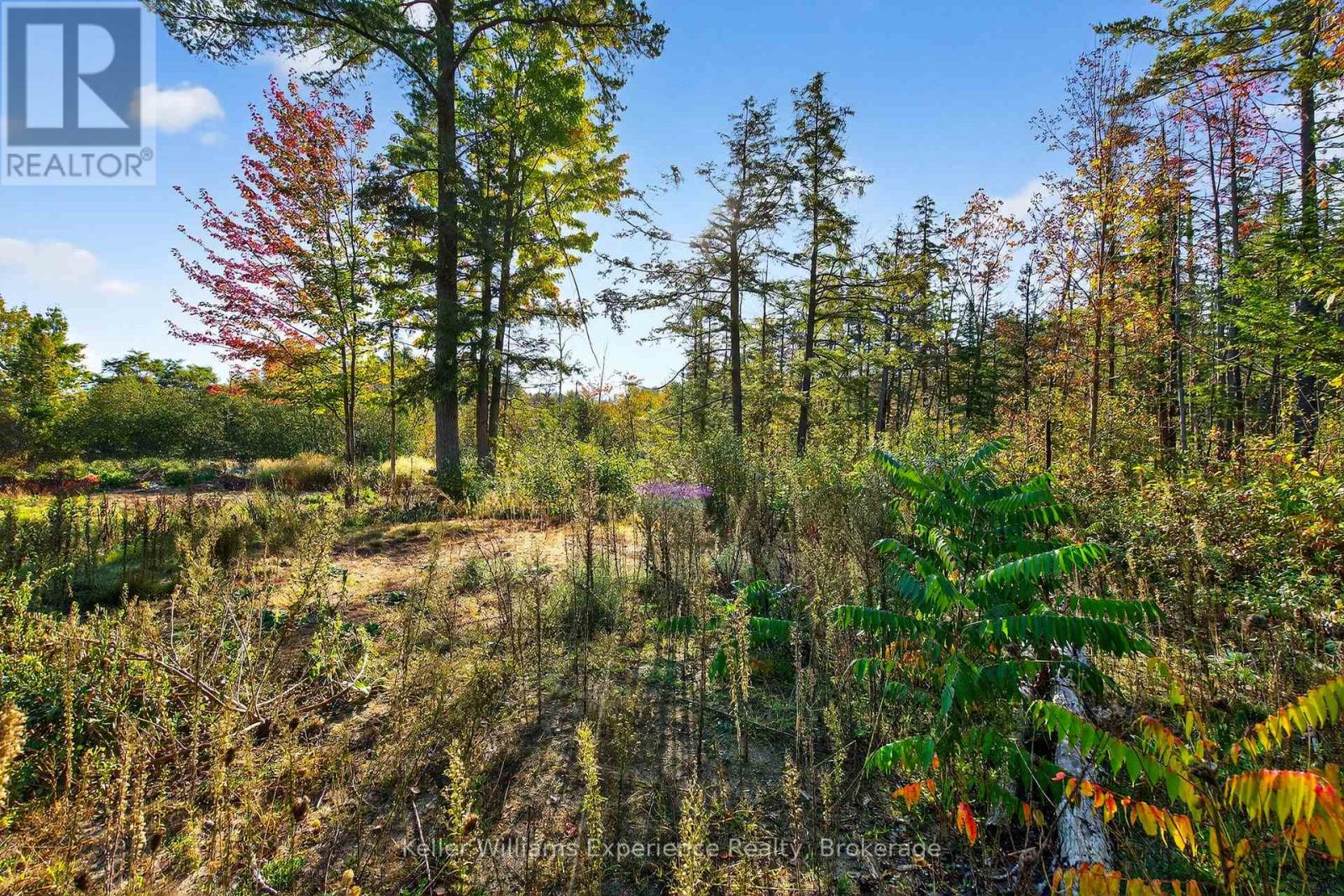 556 Champlain Road, Tiny, Ontario  L9M 0C2 - Photo 32 - S12935968