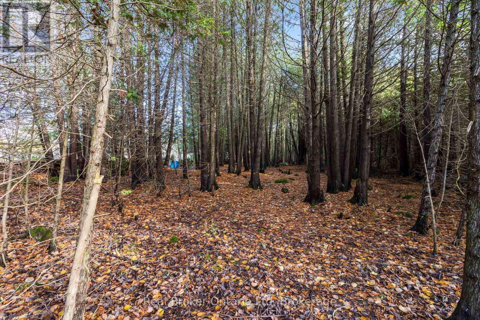 362120 16 Concession, Georgian Bluffs, Ontario  N0H 1P0 - Photo 42 - X12943328