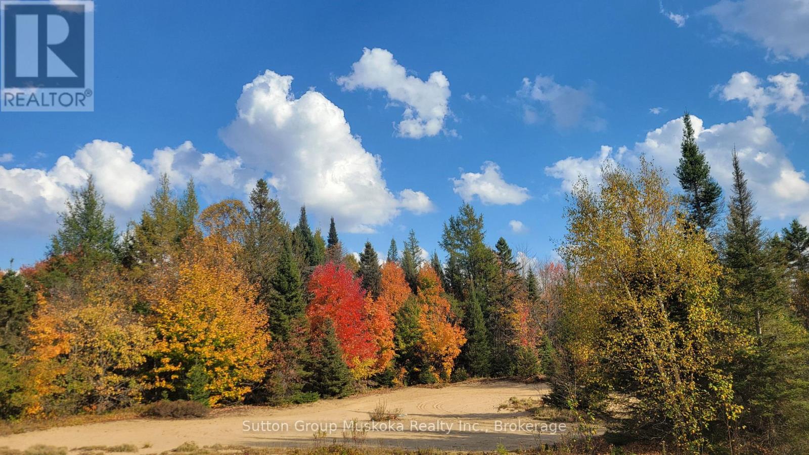 1765 Machar Strong Boundary Road, Strong, Ontario  P0A 1Z0 - Photo 44 - X12945338