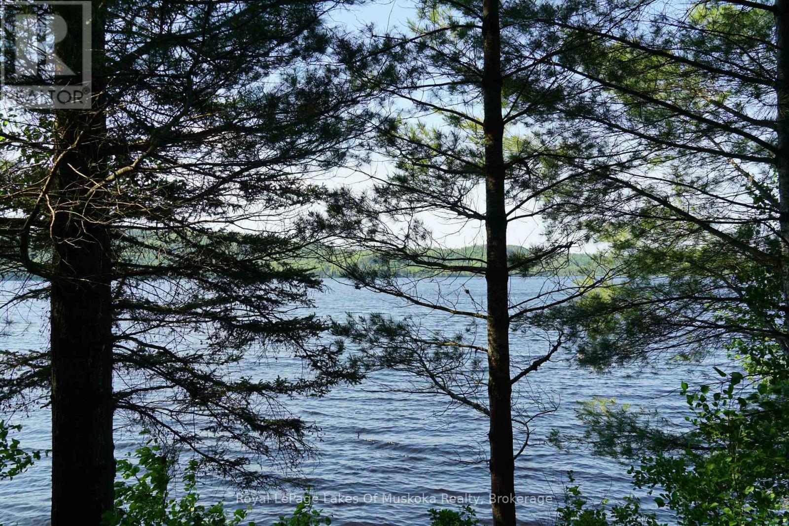 1173 Highway 60, South Algonquin, Ontario  P1H 2G9 - Photo 10 - X12950918