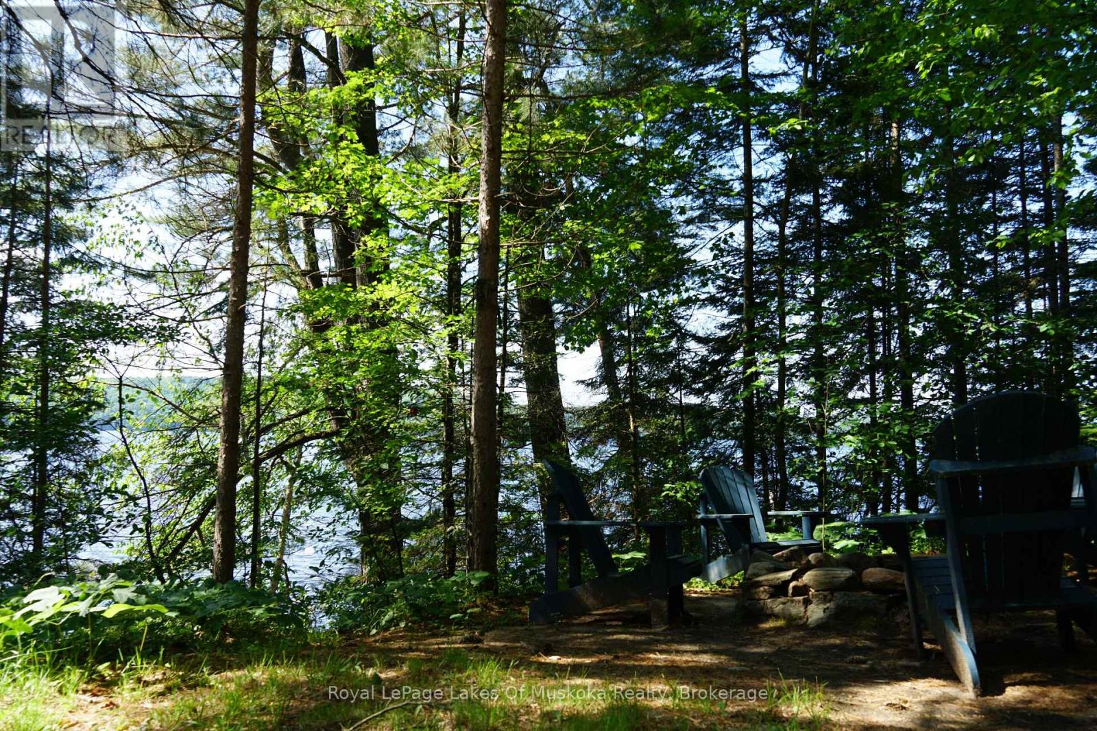 1173 Highway 60, South Algonquin, Ontario  P1H 2G9 - Photo 11 - X12950918