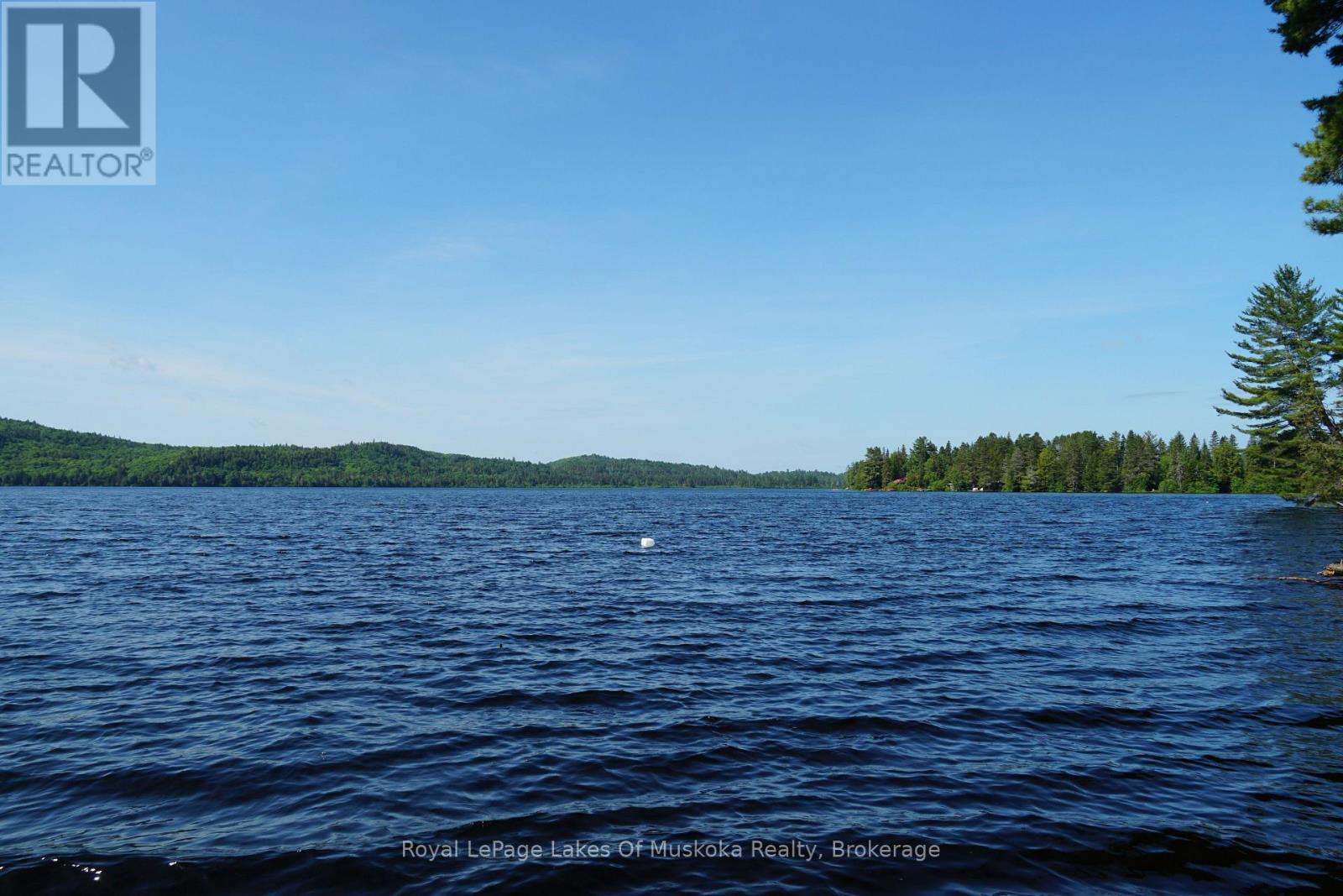 1173 Highway 60, South Algonquin, Ontario  P1H 2G9 - Photo 2 - X12950918